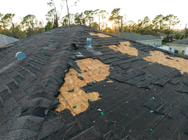 Best Emergency Roof Repair Services  in Coal City, WV