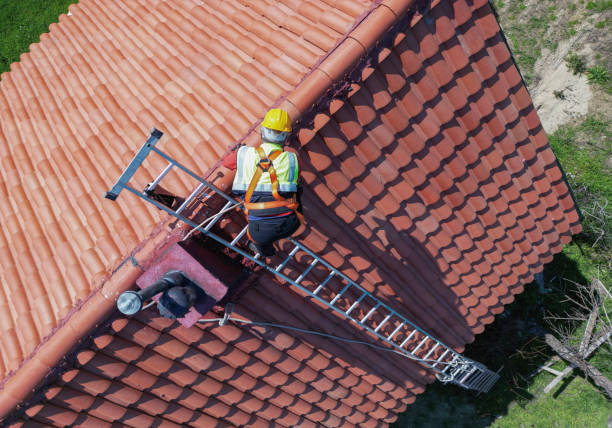 Best Steel Roofing  in Coal City, WV